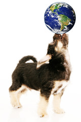 Earthbalance - CONTEST