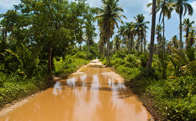 Road to Playa Rincon Puddle