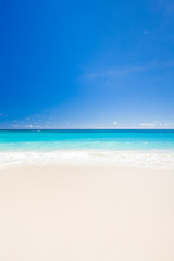 Fototapeta na wymiar Maxwell Beach, Barbados, Karaiby
