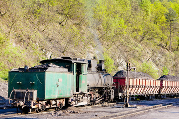Obraz premium steam freight train, delivery point in Oskova,Bosnia