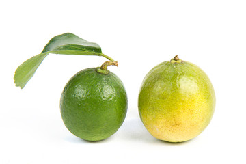 Lime with section on a white background