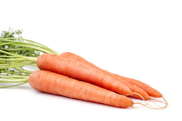 Fresh carrots