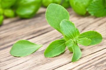 Stevia