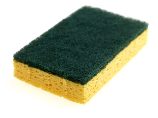 Scouring Pad