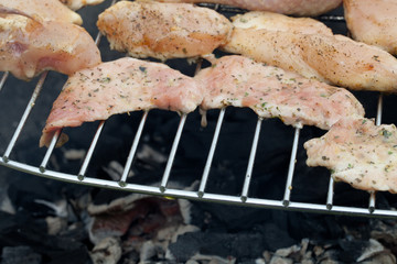 barbecue with delicious grilled meat on grill