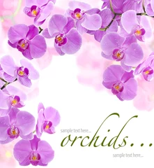 Peel and stick wall murals Orchid Orchid flowers (with sample text)
