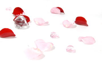 płatki czerwone © FDNphotography