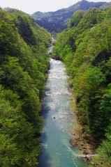 Fototapeta na wymiar Hirose rzeki i świeże zielone