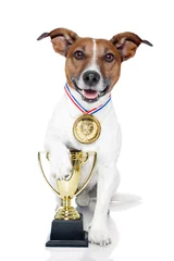 Foto auf Acrylglas Lustiger Hund winner dog