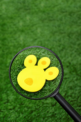 bunny track for Easter eggs hunt