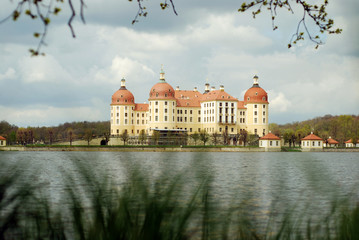 Fototapeta na wymiar Moritzburg (Dresden)
