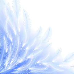 Fototapeta na wymiar Background Feathers