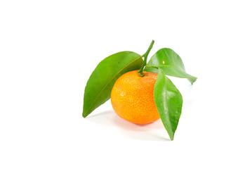 Orange isolated on white background