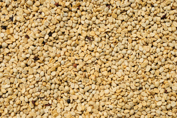 Coffee beans background