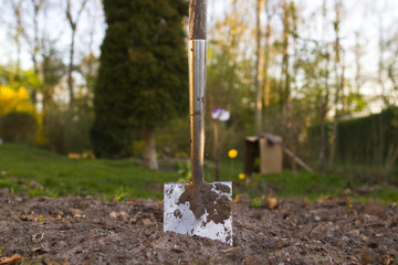 shovel in soil