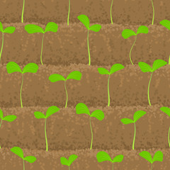 sprout, shoot vegetable patches in row seamless