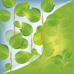 Abstract eco background with plant