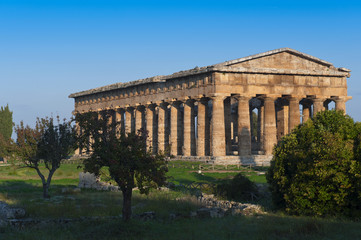 Fototapeta premium valle dei templi di Paestum