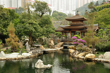 Fototapeta premium Nan Lian Garden, Kowloon, Hong Kong.