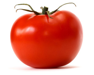 tomato over white background