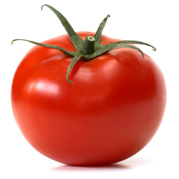 tomato over white background