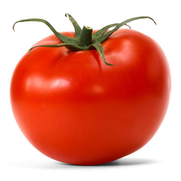 tomato over white background