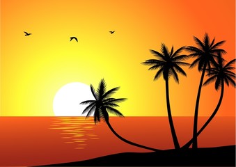 Tropical beach sunset