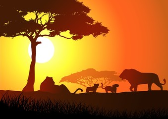 Silhouette of lion family