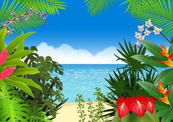 Tropical beach background