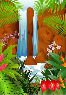 Tropical forest background