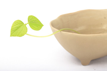 Spa still life on white background