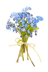 Bouquet of forget-me-nots © Elenathewise
