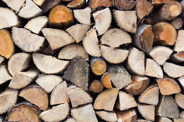 Fototapeta premium Log Pile