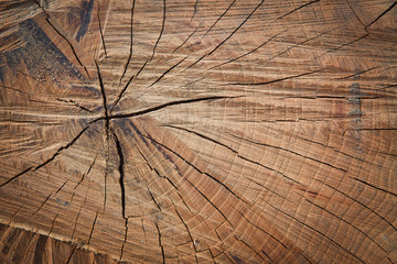 Fototapeta premium an image of high quality wooden background
