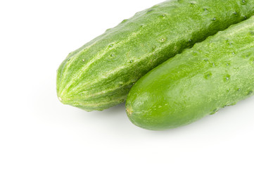 Cucumber