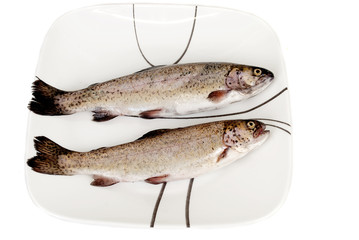 Two Fresh rainbow trout fishes