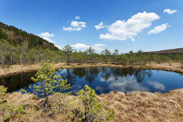The Mohos peat bog