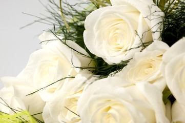 rose particolare per te