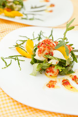 summer salad with shrimps