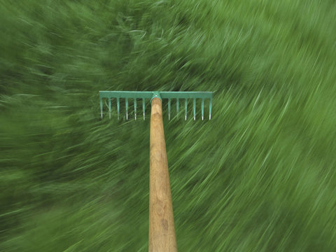 lawn rake in motion in green grass