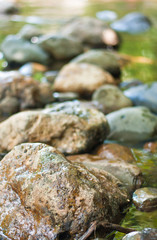 rocks in the stream