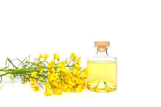 Fresh canola oil
