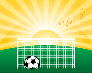 Football on grass field, vector illustration