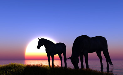 Horse.