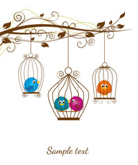 colorful birds in a cage on a white background