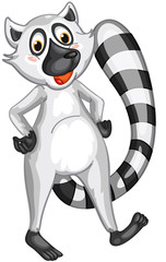 Mr Lemur