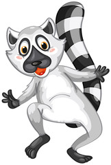Mr Lemur