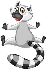 Mr Lemur