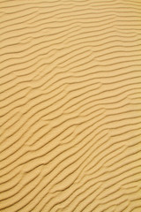 Desert sand background of a Curonian Spit dune