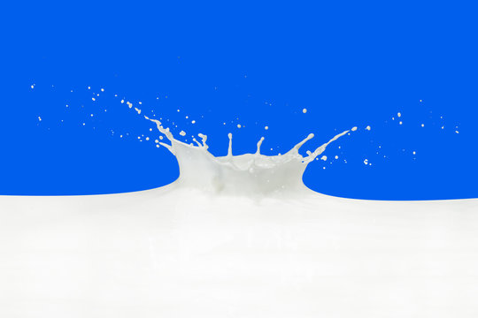 milk splash